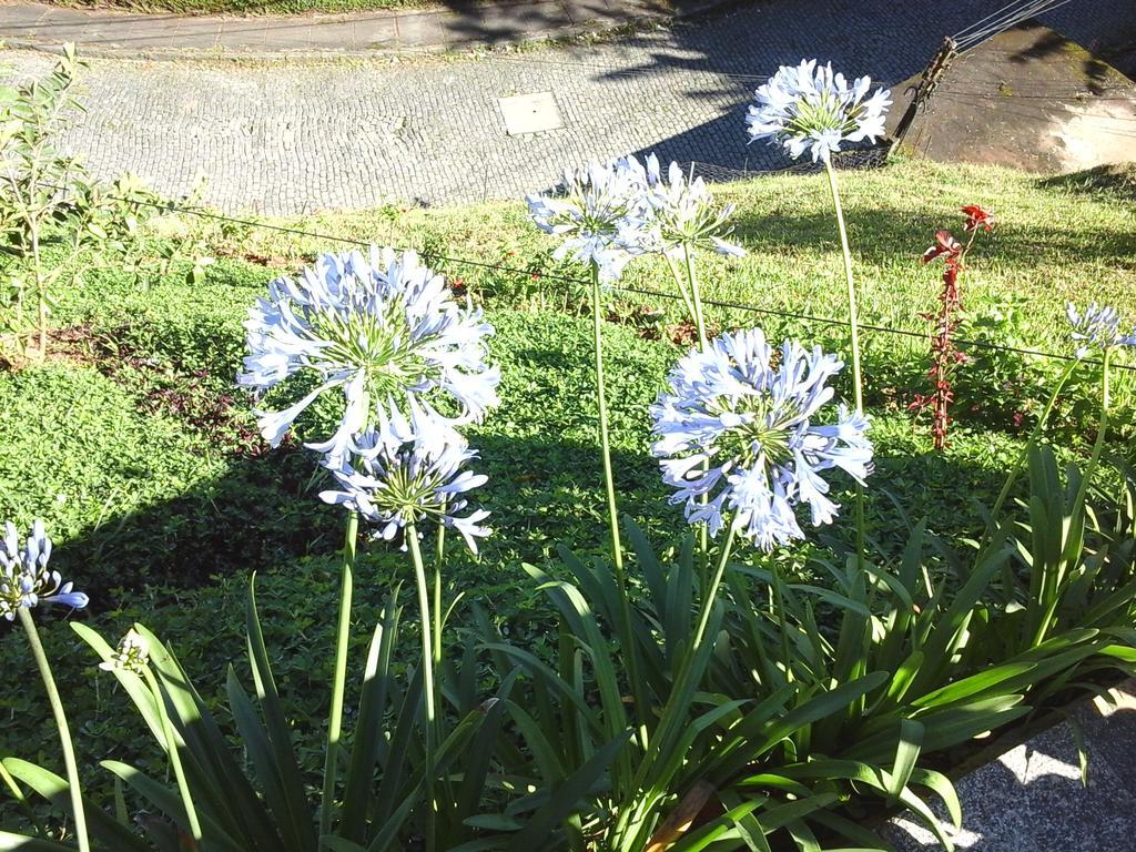 Apartamento Na Serra Apartment Petrópolis Екстериор снимка